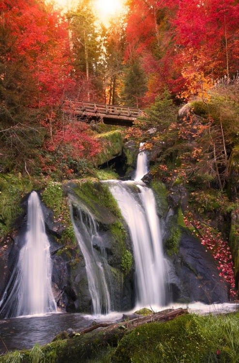 Black Forest Waterfall, Germany