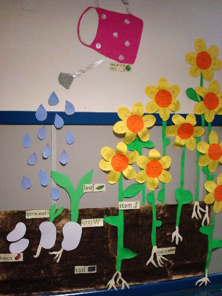 Plant Growth Board- idea for spring science.for my science bulletin board in April