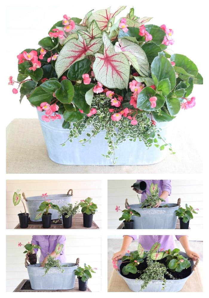 Perfect for the porch! A spring container garden by Carmen Johnston Gardens