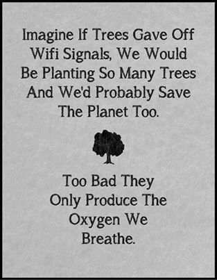 if trees would gave wifi signals, we would be planting many trees and save the planet, too bad they only produce the oxygen we breathe.