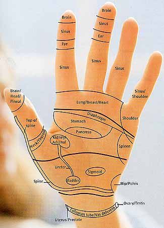 REFLEXOLOGY HAND CHART - Tips & guidelines for hand reflexology charts!