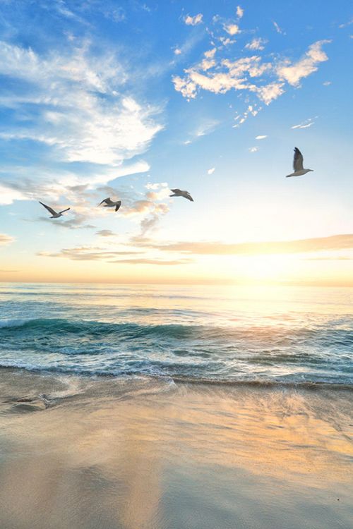 Ah....the smell of the sea, the sand and the salt air...there is no elixir on this blessed earth like it.