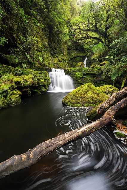 New Zealand.