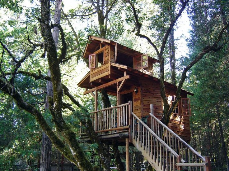 Treehouse