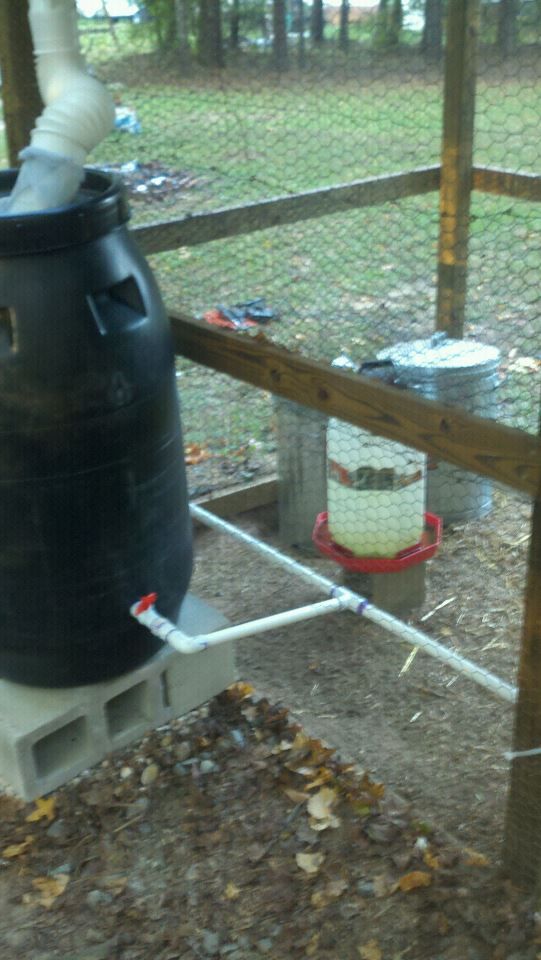 DIY Captured-Rainwater Chicken Coop Drinking Station