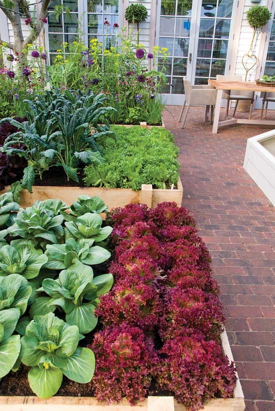 Intensive Gardening: Grow More Food in Less Space (With the Least Work!) - Organic Gardening - from MOTHER EARTH NEWS