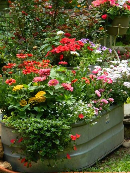 Galvanized tubs as planters