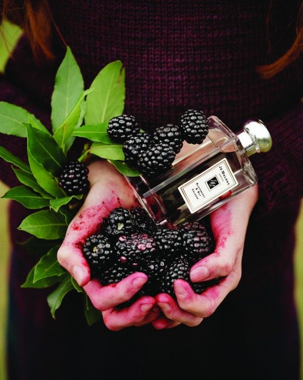 Jo Malone Blackberry & Bay- probably one of the best perfumes I have ever worn...and I own a lot of perfume ;)