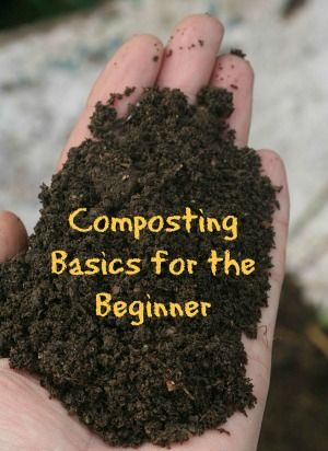 Composting Basics | How To Get Started With Composting - Moms Need To Know ™