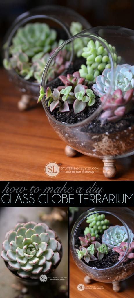How to Make a Glass Globe Terrarium | #michaelsmakers