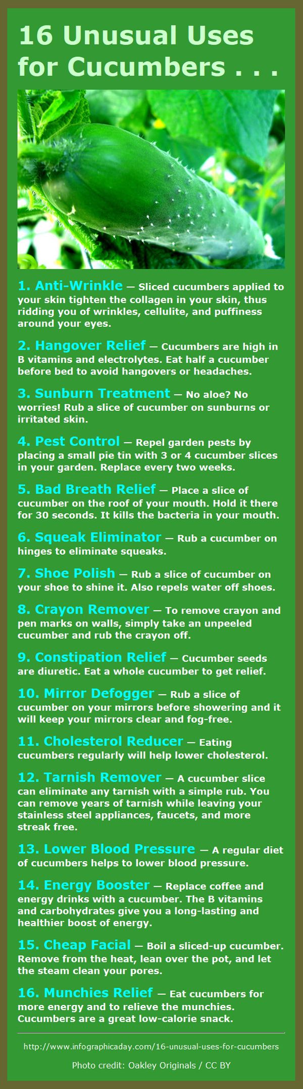 16 Great Uses for Cucumbers – They’re not just for eating! - unless you have the munchies. Cucumbers are the best munchies food ever! #Fitness Matters