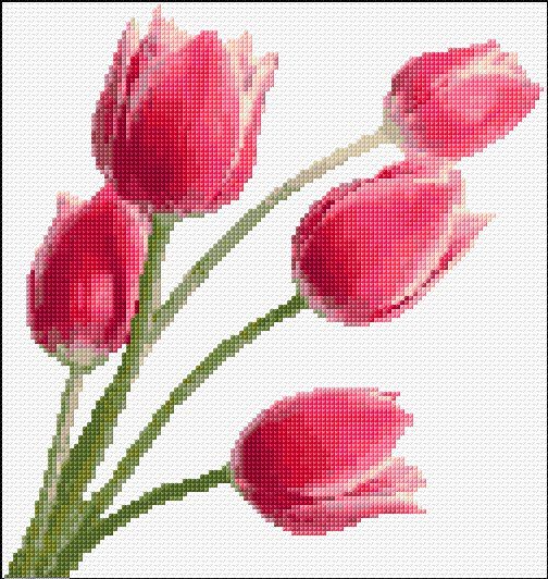 tulips cross stitch chart
