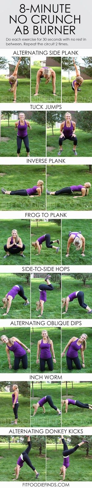 8 Minute No-Crunch Ab Workout. #workout #exercises #abs #core This looks painful, but fun