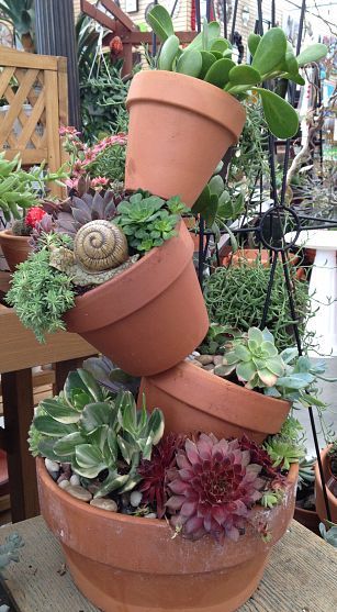 Tree of Terracotta Pots filled with Hens and Chicks, Sedum & other Succulents