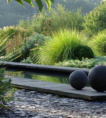 Grasses and stones