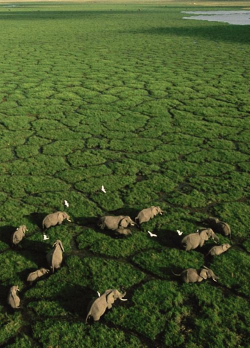 Amazing Africa