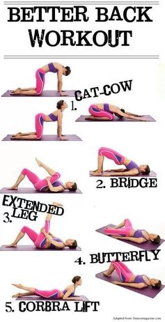 Better Back Workout