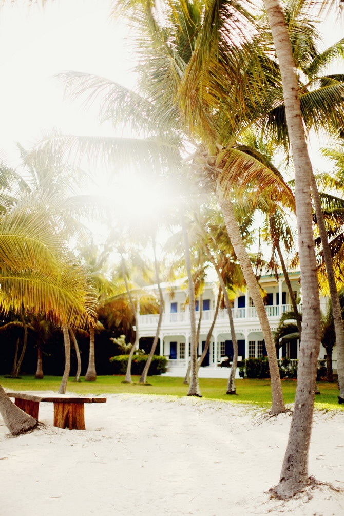 tropical