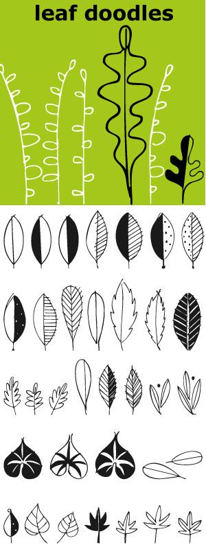 Leaves... lots of leaves... all hand drawn... 62 of them in fact. Big ones, small ones, line ones, reverse ones to use alone or together in groupings. A very versatile font.