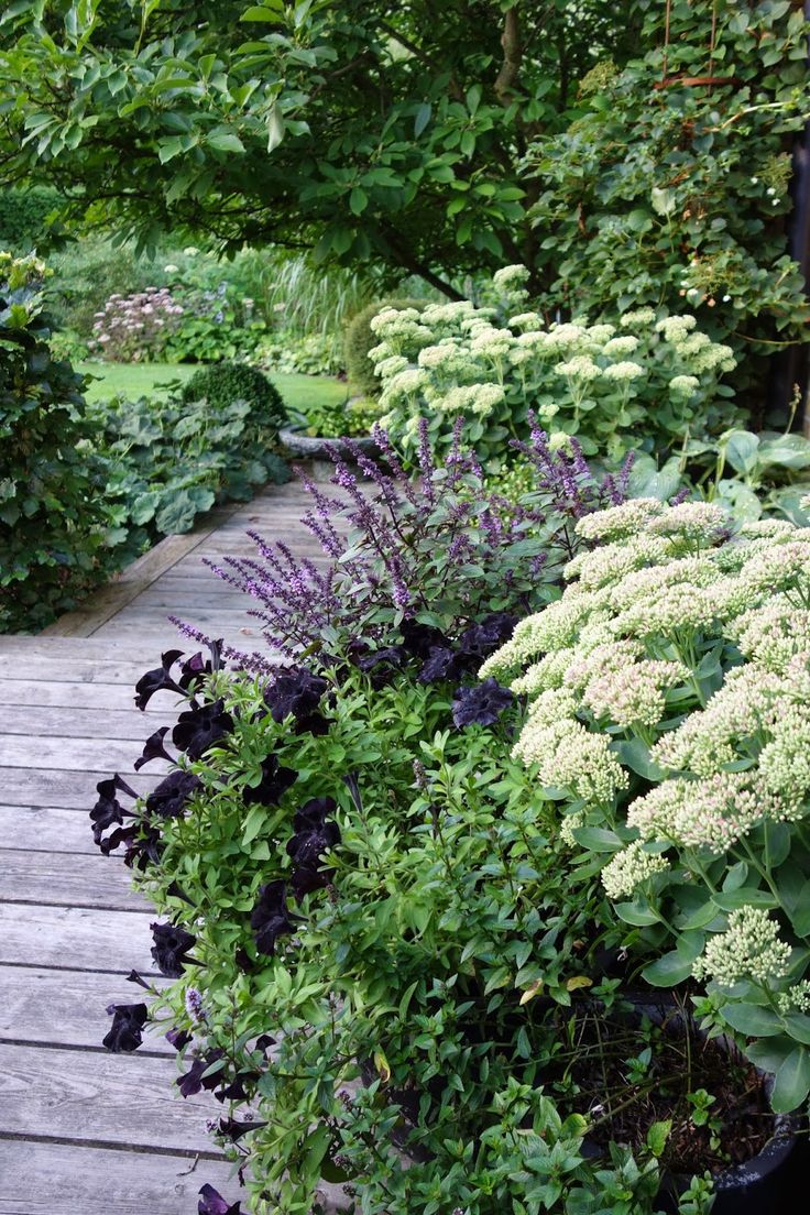 Jardin