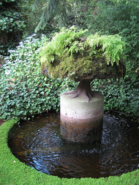 Water feature