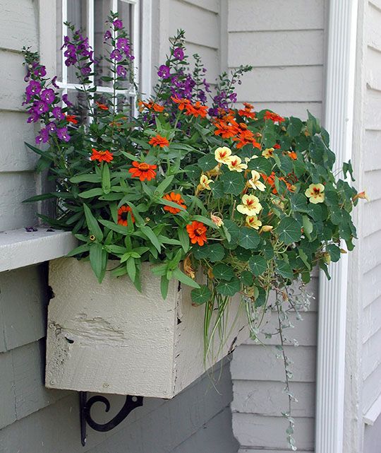 Window Box inspiration from Nantucket