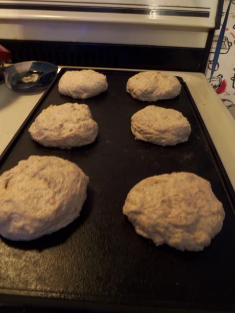 THM (E) Sourdough English Muffins