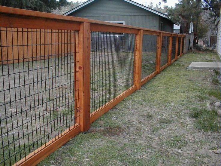 wire-garden-fence-ideas-ly1x175a.jpg (800×600)