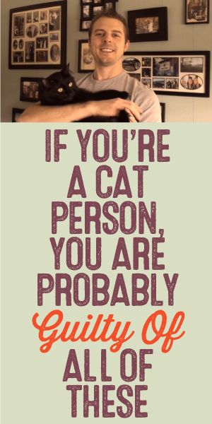 If You're A Cat Person, You Are Probably Guilty Of ALL Of These!