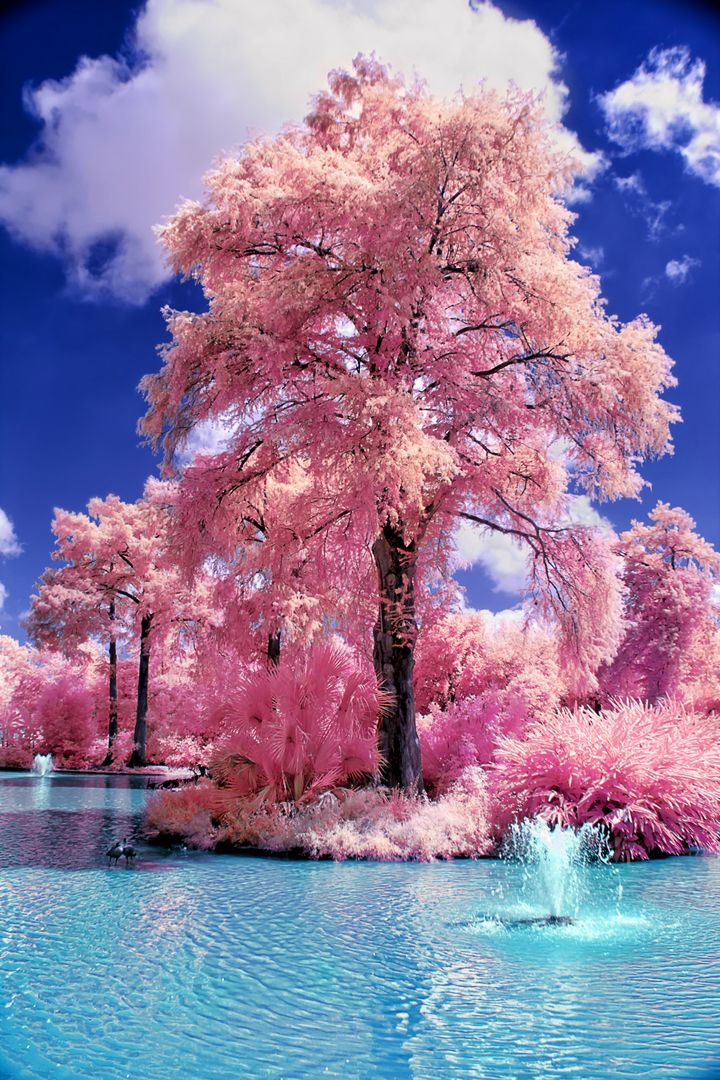 Stunning!