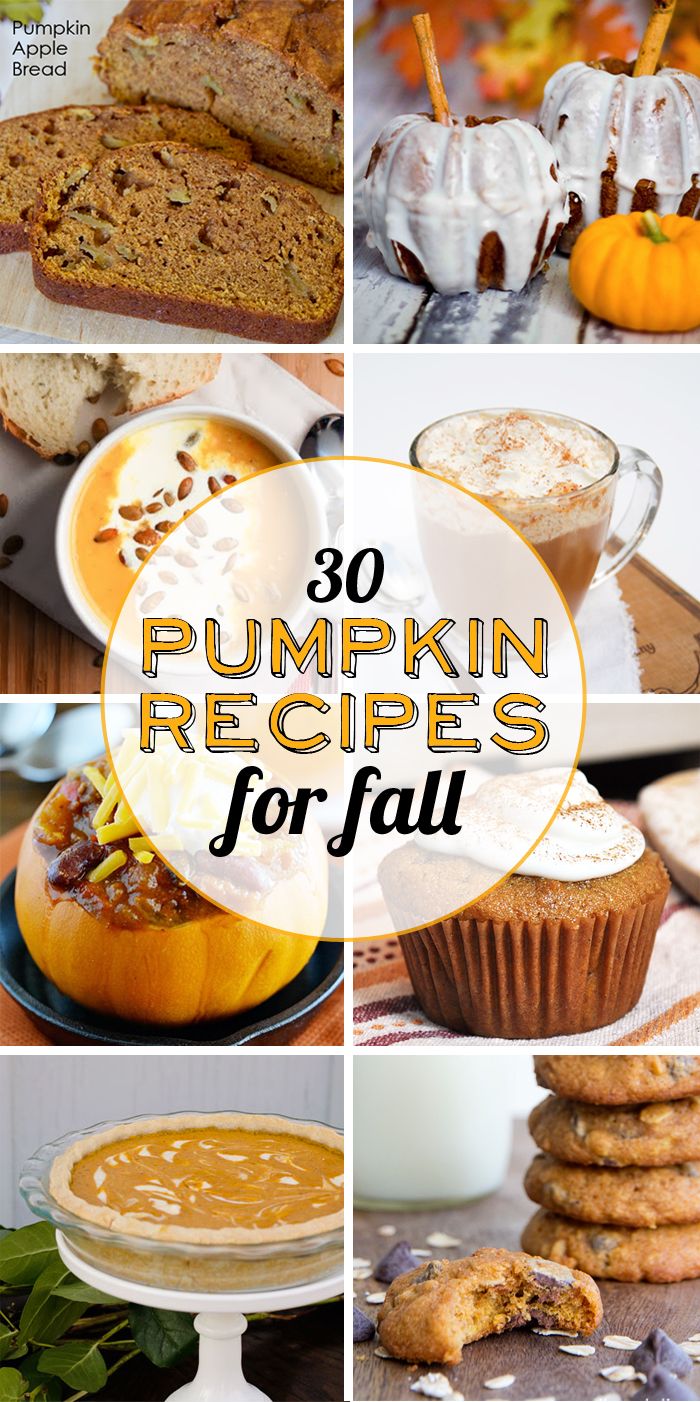 30 Pumpkin Recipes for Fall; they literally all are making my mouth water! I can't wait for fall