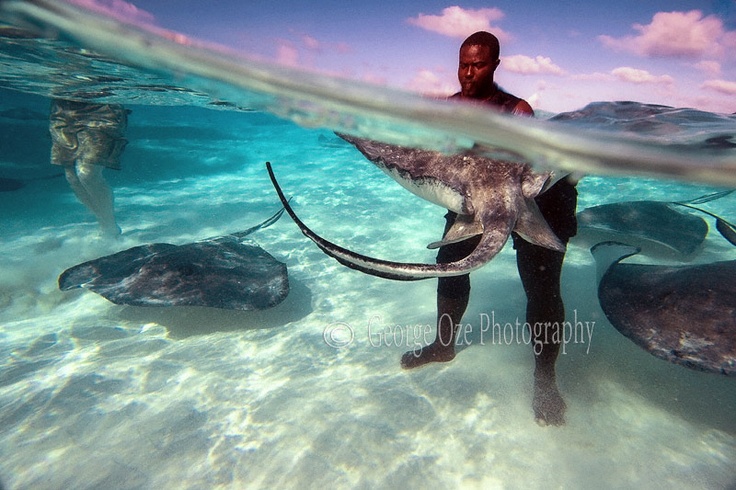 I must go her before I die