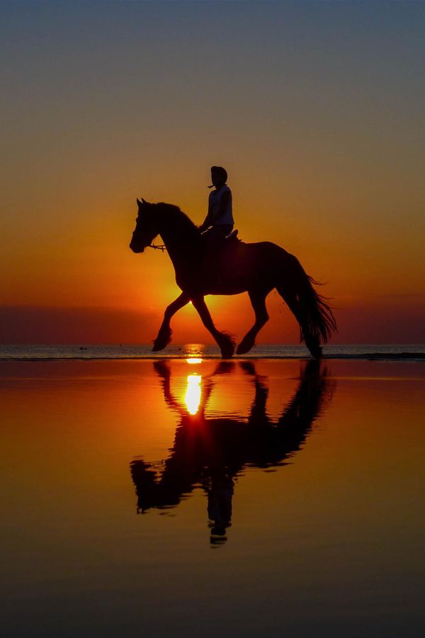 Serenity