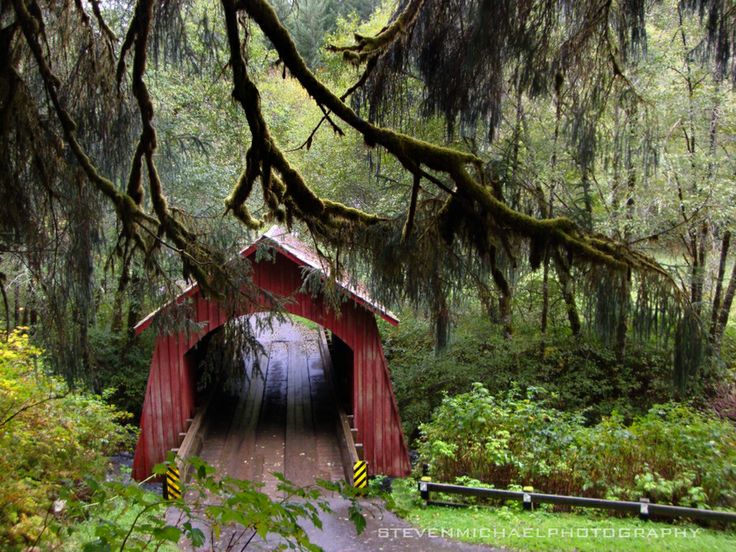 North Fork Yachats River Covered Bridge, Oregon Coast