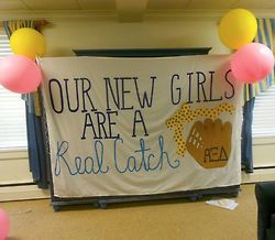 baseball theme bid day