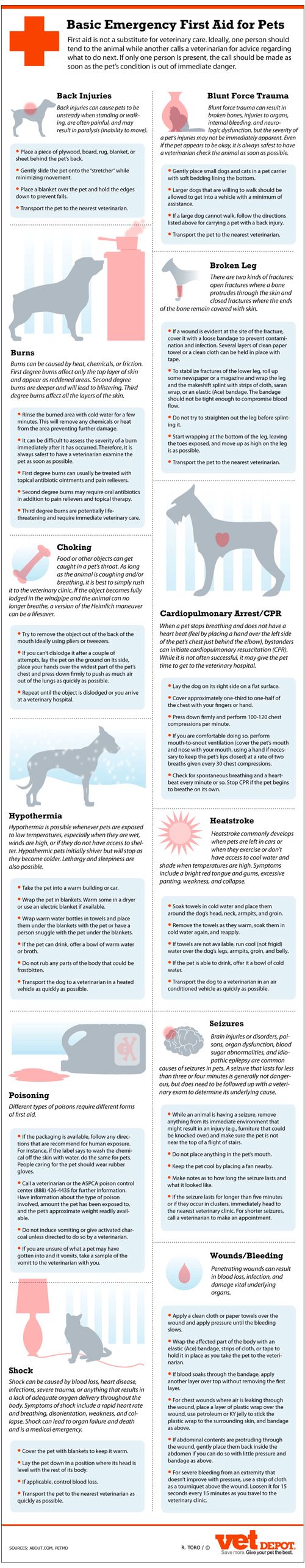 animal safety training