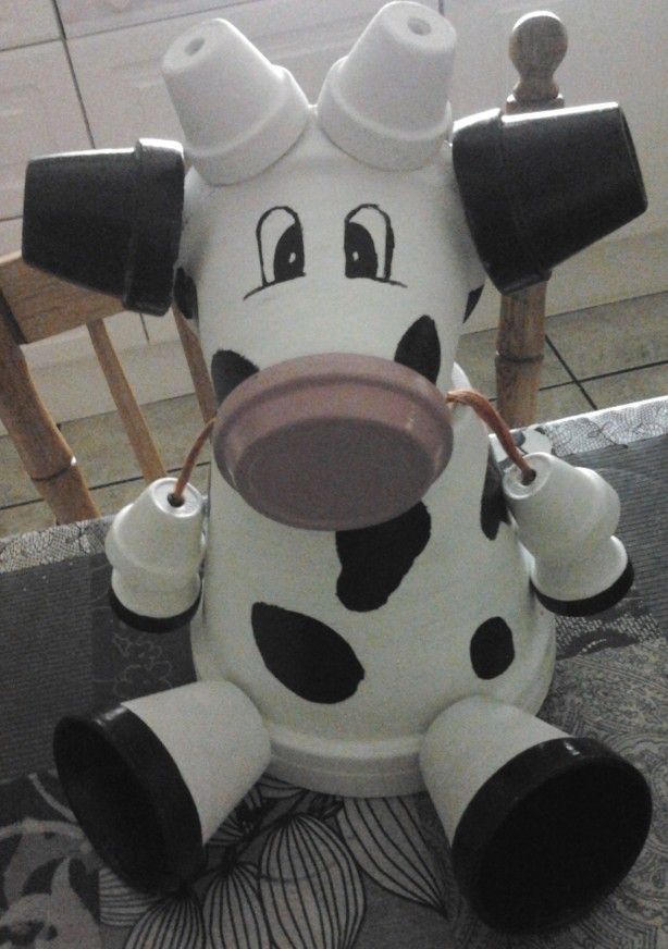 cow pots