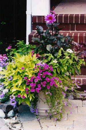 Country flower gardens