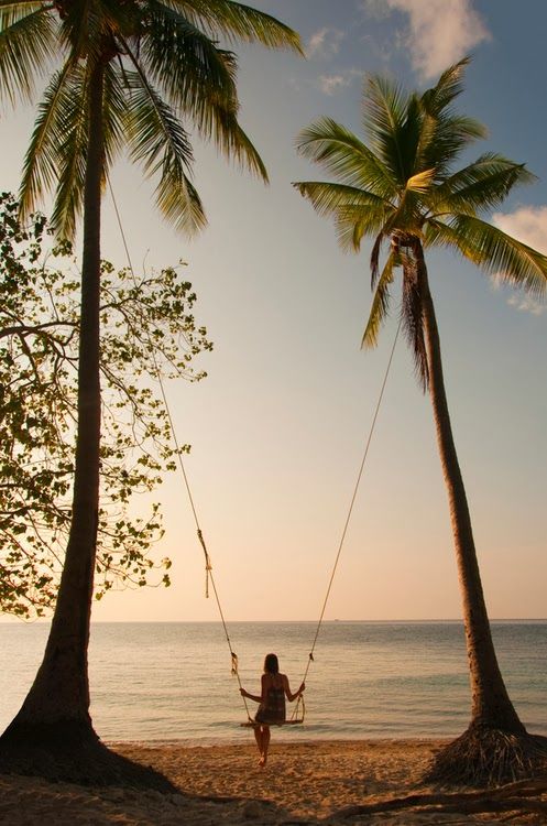 Beautiful sunset
