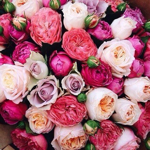 love!