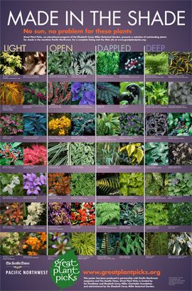 Great Plant Picks