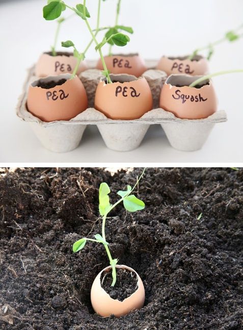 Really clever gardening ideas