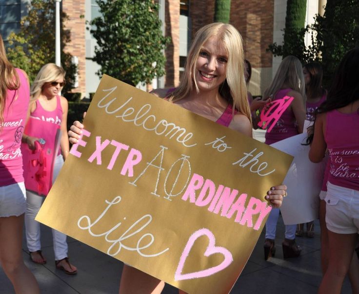 alpha phi | sorority sugar