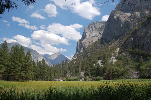 Best Hikes in Sequoia and Kings Canyon National Parks for Kids