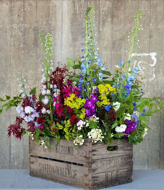 Stunning #britishflowers . Delightlful delphiniums #britishflowersweek designed by Rebel Rebel