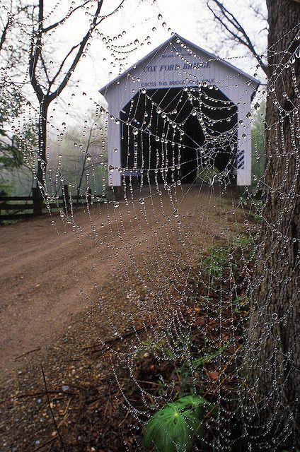 Bridge