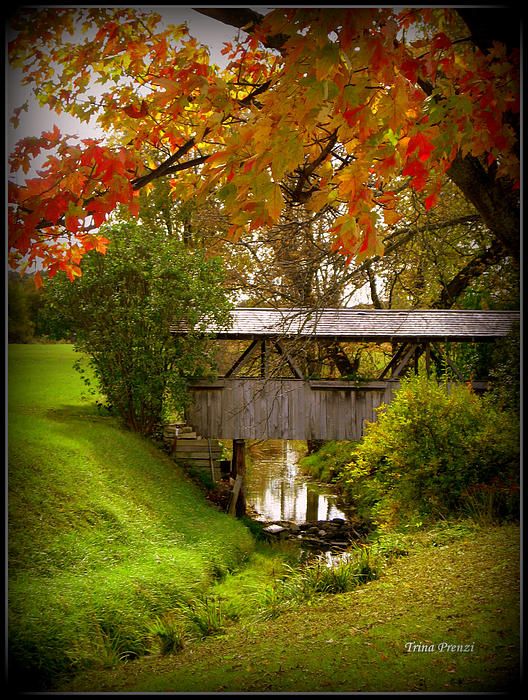 Little Covered Bridge ~ Michigan ~ Photo taken by me on a road trip viewing the Fall colors!!
