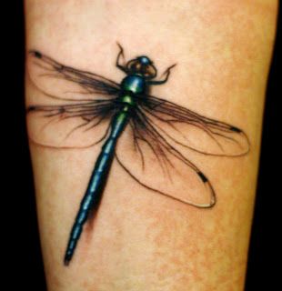 I know dragonfly tattoos are cliche but I really want one incorporated in :) This one is so realistic! Love the drop shadow