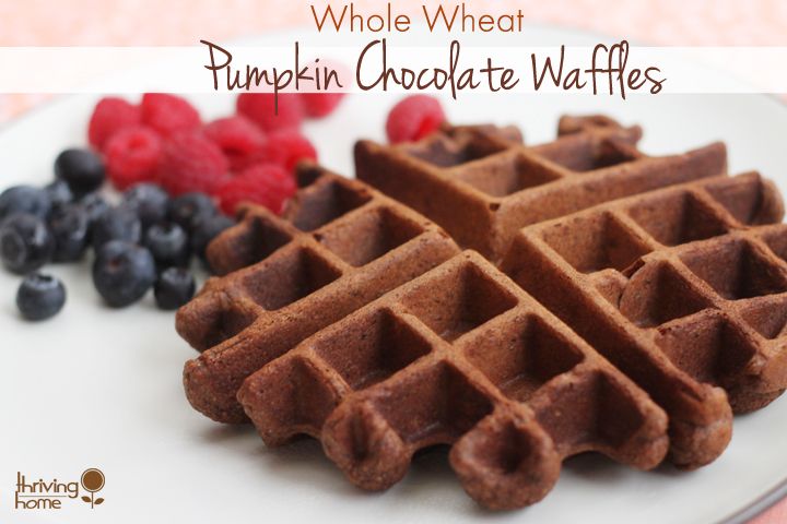 This healthy waffle recipe is a FAVORITE of my kids. Made with pumpkin, cocoa and a list of other healthy ingredients these waffles make mom and kids happy in the morning.