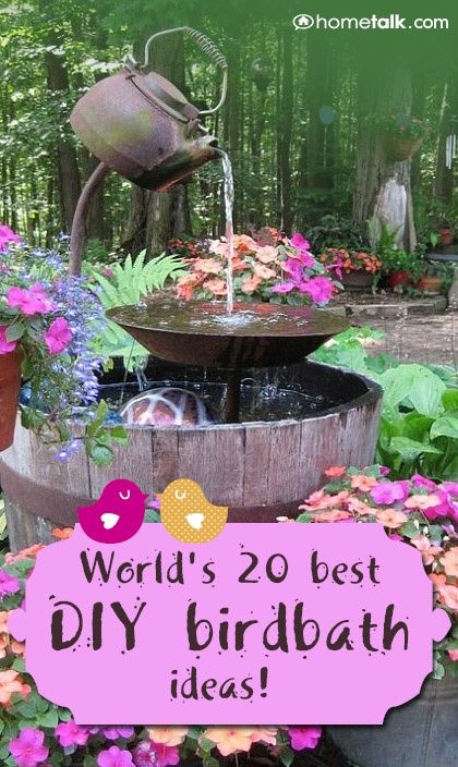 Worlds 20 Best DIY Birdbath Ideas! COPPER PENNIES BEFORE 1980 FOR FUNGUS RELIEF IN FOUNTAINS